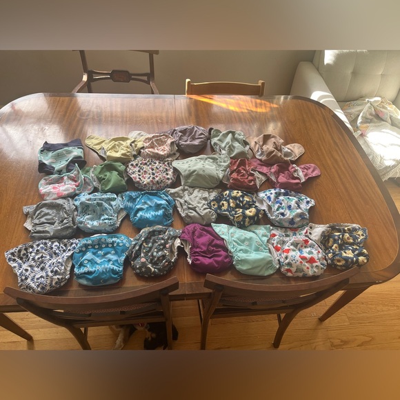 Thirsties and Grovia one size cloth diaper lot - Picture 2 of 6
